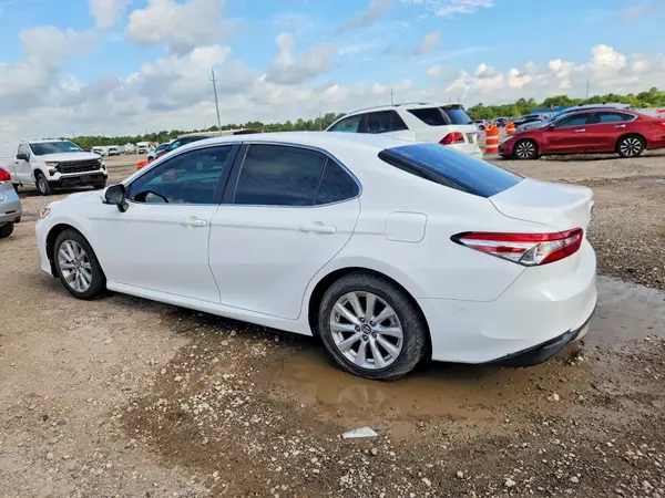 4T1B11HK5KU243019 2019 TOYOTA CAMRY - Image 2
