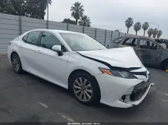 4T1B11HK5KU243991 2019 TOYOTA CAMRY