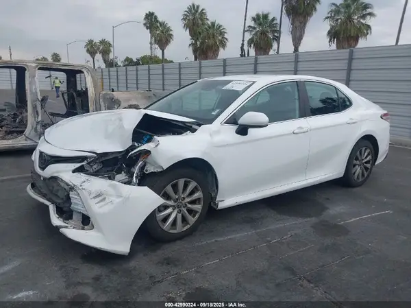 4T1B11HK5KU243991 2019 TOYOTA CAMRY - Image 2