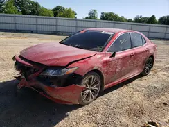 4T1B11HK5KU244851 2019 TOYOTA CAMRY