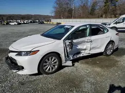 4T1B11HK5KU249631 2019 TOYOTA CAMRY