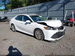 4T1B11HK5KU250682 2019 TOYOTA CAMRY