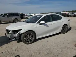 4T1B11HK5KU252853 2019 TOYOTA CAMRY