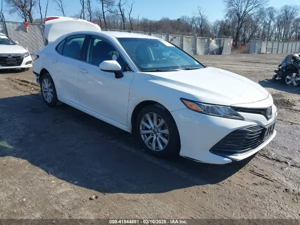 4T1B11HK5KU253940 2019 TOYOTA CAMRY - Image 1