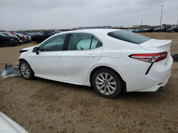4T1B11HK5KU255994 2019 TOYOTA CAMRY - Image 2