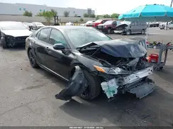 4T1B11HK5KU259172 2019 TOYOTA CAMRY