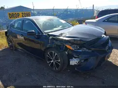4T1B11HK5KU259737 2019 TOYOTA CAMRY