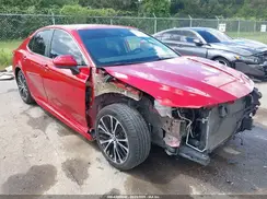 4T1B11HK5KU287196 2019 TOYOTA CAMRY
