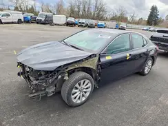4T1B11HK5KU681393 2019 TOYOTA CAMRY