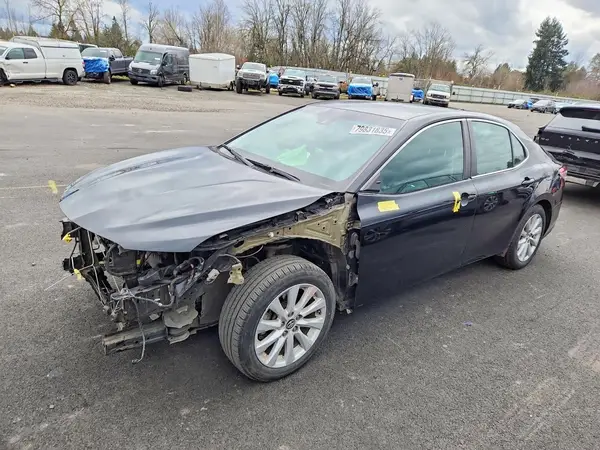 4T1B11HK5KU681393 2019 TOYOTA CAMRY - Image 1