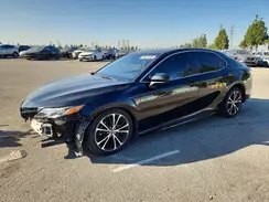 4T1B11HK5KU685542 2019 TOYOTA CAMRY