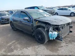 4T1B11HK5KU690546 2019 TOYOTA CAMRY