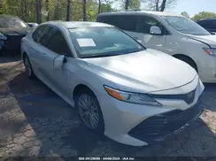 4T1B11HK5KU696895 2019 TOYOTA CAMRY