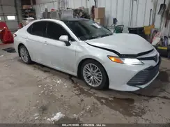 4T1B11HK5KU701481 2019 TOYOTA CAMRY