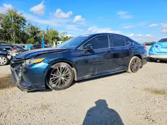 4T1B11HK5KU720029 2019 TOYOTA CAMRY