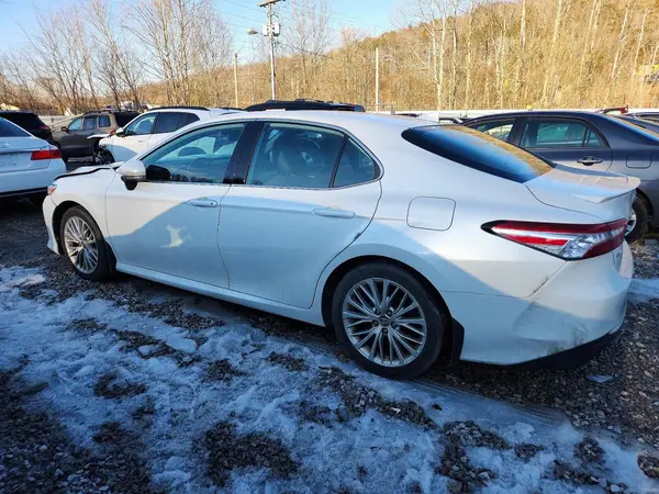4T1B11HK5KU733248 2019 TOYOTA CAMRY - Image 2