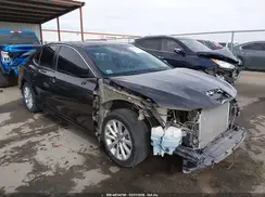 4T1B11HK5KU743553 2019 TOYOTA CAMRY