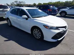 4T1B11HK5KU756447 2019 TOYOTA CAMRY