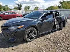 4T1B11HK5KU764452 2019 TOYOTA CAMRY