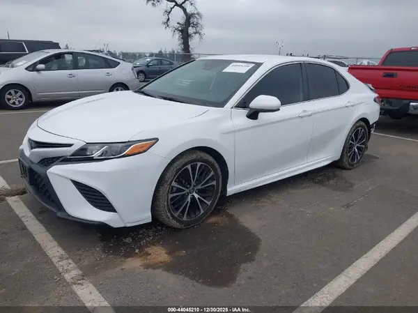 4T1B11HK5KU775743 2019 TOYOTA CAMRY - Image 2