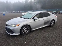 4T1B11HK5KU783325 2019 TOYOTA CAMRY
