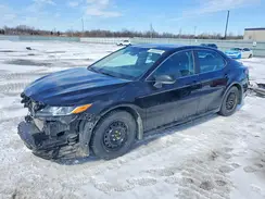 4T1B11HK5KU788959 2019 TOYOTA CAMRY