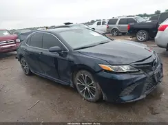 4T1B11HK5KU797225 2019 TOYOTA CAMRY
