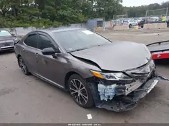 4T1B11HK5KU804223 2019 TOYOTA CAMRY