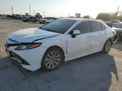 4T1B11HK5KU810149 2019 TOYOTA CAMRY