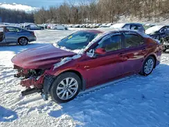 4T1B11HK5KU816467 2019 TOYOTA CAMRY