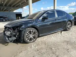 4T1B11HK5KU819949 2019 TOYOTA CAMRY