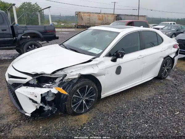 4T1B11HK5KU823046 2019 TOYOTA CAMRY - Image 2