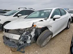 4T1B11HK5KU825122 2019 TOYOTA CAMRY