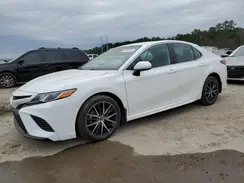 4T1B11HK5KU829123 2019 TOYOTA CAMRY