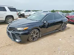 4T1B11HK5KU829851 2019 TOYOTA CAMRY