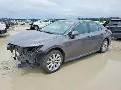 4T1B11HK5KU834130 2019 TOYOTA CAMRY
