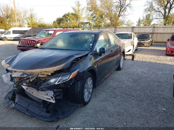 4T1B11HK5KU843023 2019 TOYOTA CAMRY - Image 2