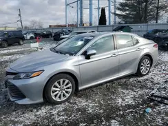4T1B11HK5KU843636 2019 TOYOTA CAMRY