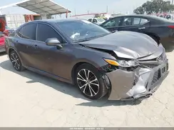 4T1B11HK6KU163759 2019 TOYOTA CAMRY