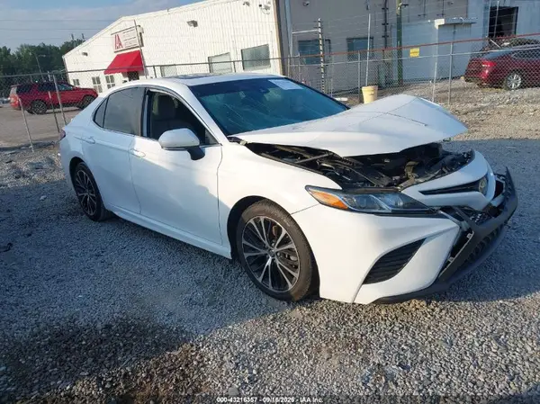 4T1B11HK6KU167794 2019 TOYOTA CAMRY - Image 1
