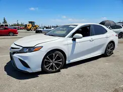 4T1B11HK6KU174843 2019 TOYOTA CAMRY