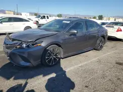 4T1B11HK6KU175376 2019 TOYOTA CAMRY