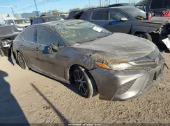 4T1B11HK6KU193392 2019 TOYOTA CAMRY