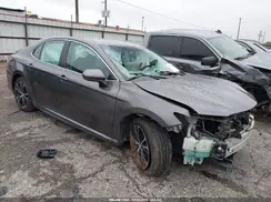 4T1B11HK6KU204908 2019 TOYOTA CAMRY