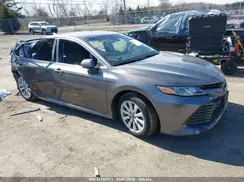 4T1B11HK6KU207162 2019 TOYOTA CAMRY