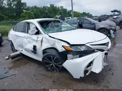 4T1B11HK6KU207520 2019 TOYOTA CAMRY