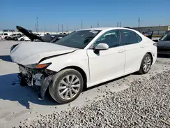 4T1B11HK6KU219196 2019 TOYOTA CAMRY