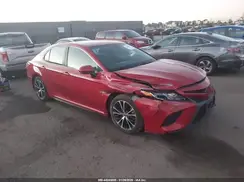 4T1B11HK6KU224480 2019 TOYOTA CAMRY