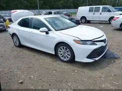 4T1B11HK6KU231526 2019 TOYOTA CAMRY