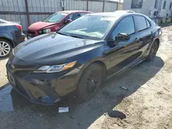 4T1B11HK6KU236287 2019 TOYOTA CAMRY